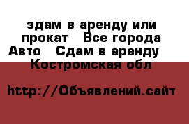 здам в аренду или прокат - Все города Авто » Сдам в аренду   . Костромская обл.